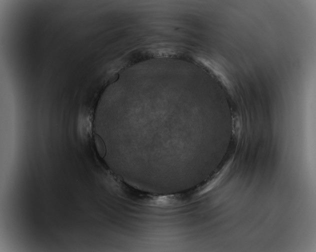 X0000093120382200710101045