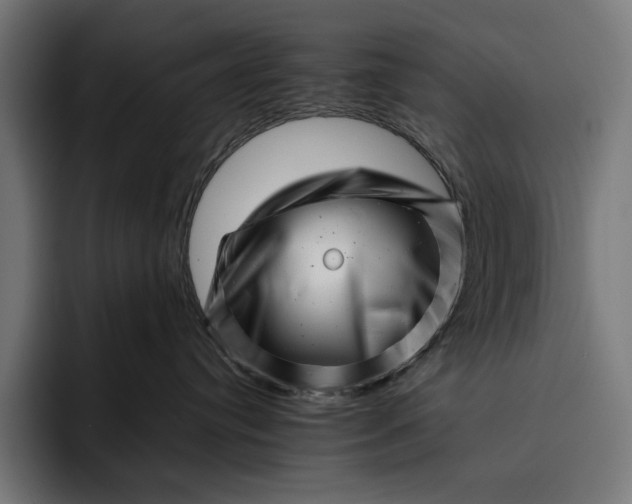 X0000093120384200710101045