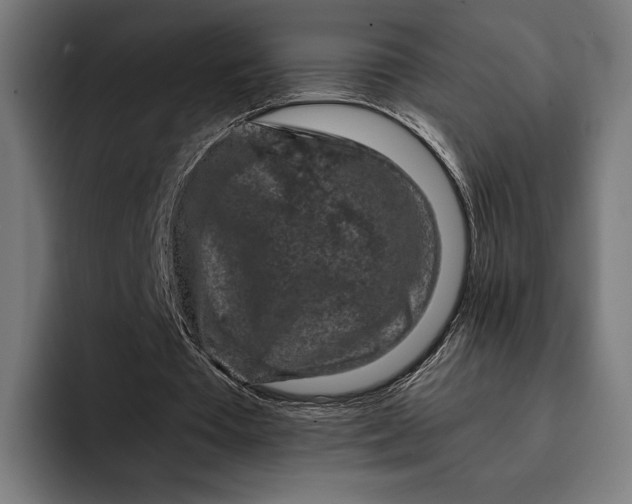 X0000093120385200710101044