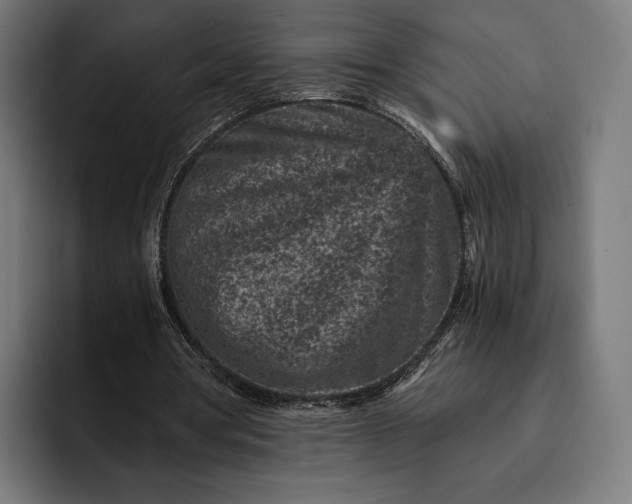 X0000093120386200710101044