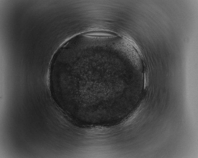 X0000093120387200710101044