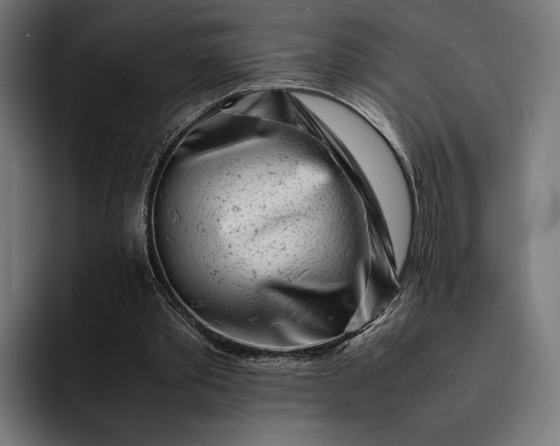 X0000093120389200710101044