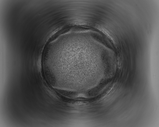 X0000093120390200710101044