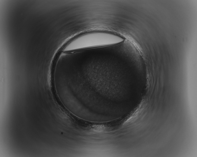 X0000093120391200710101044