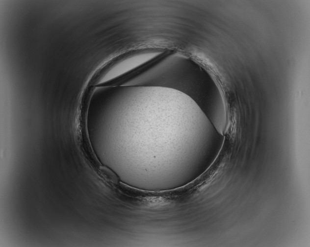 X0000093120392200710101044