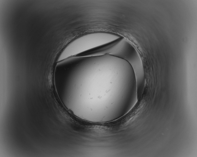 X0000093120393200710101044