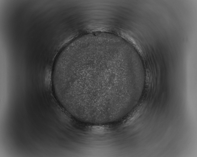 X0000093120394200710101044