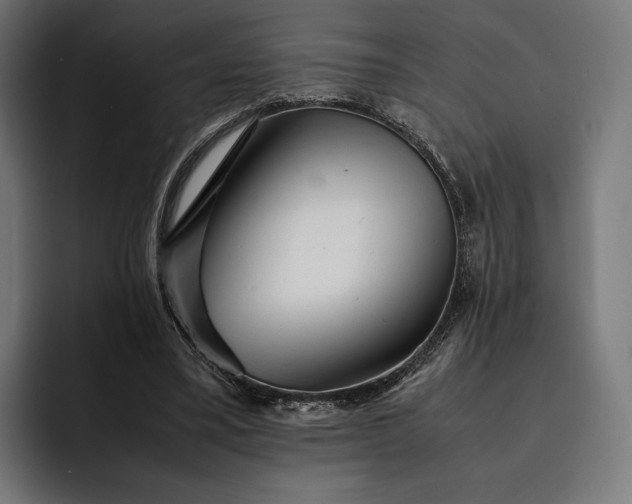 X0000093120395200710101044