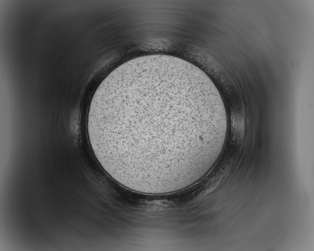 X0000093120396200710101044