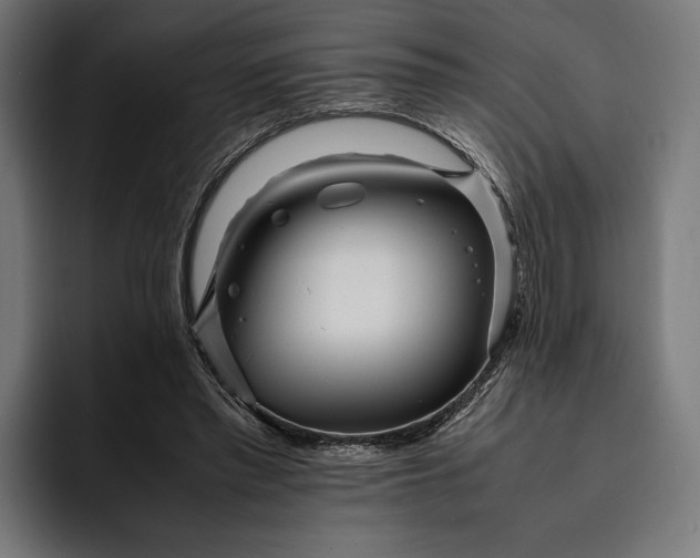 X0000093120397200710101044