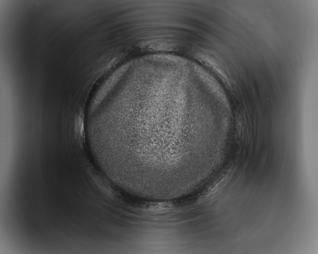 X0000093120398200710101044