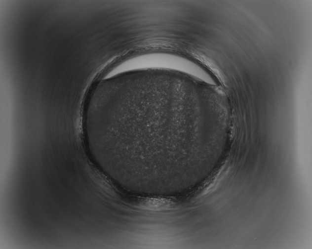 X0000093120399200710101044