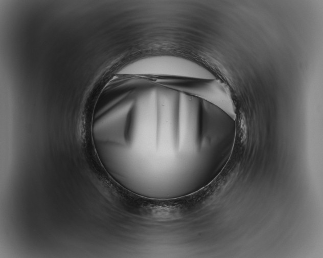 X0000093120400200710101044