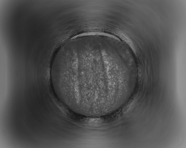 X0000093120401200710101044