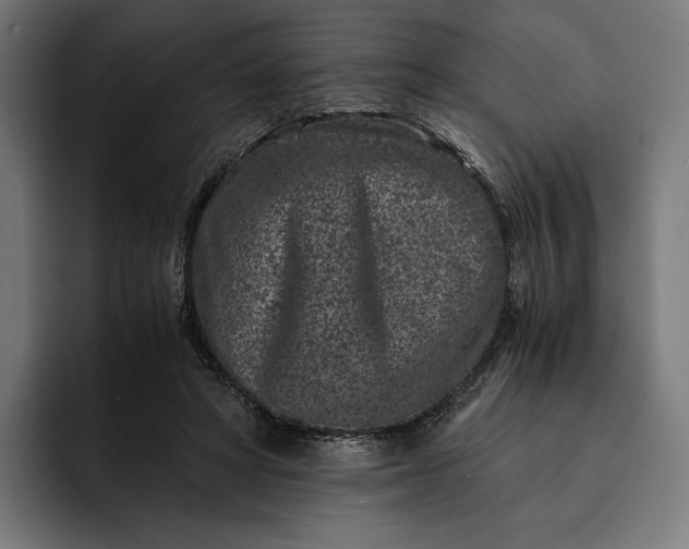 X0000093120402200710101044