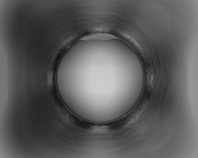 X0000093120403200710101044