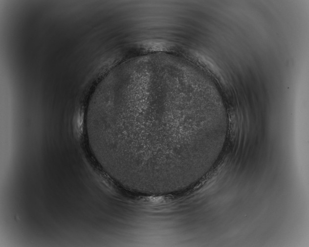 X0000093120406200710101044