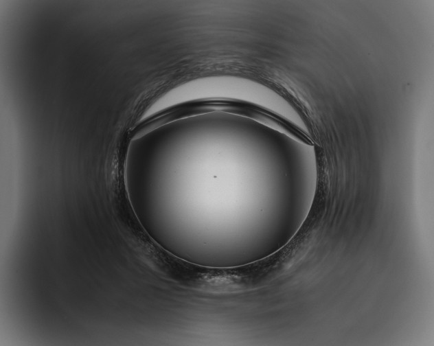 X0000093120407200710101044