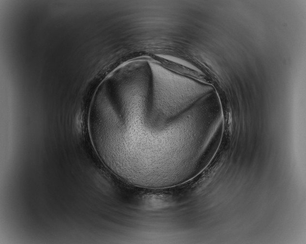 X0000093120408200710101044