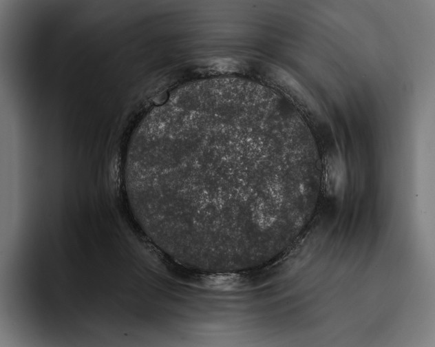 X0000093120410200710101044