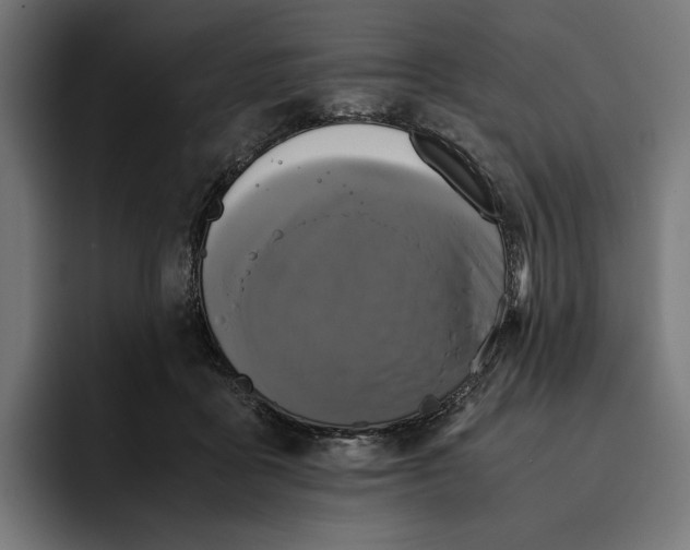 X0000093120411200710101044