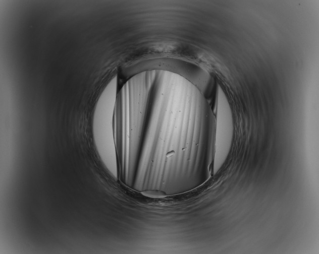 X0000093120412200710101044