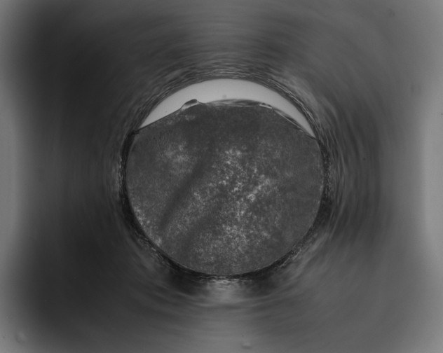 X0000093120413200710101044