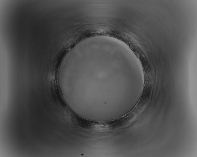 X0000093120415200710101044