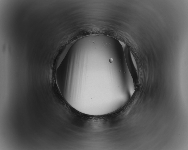 X0000093120416200710101044