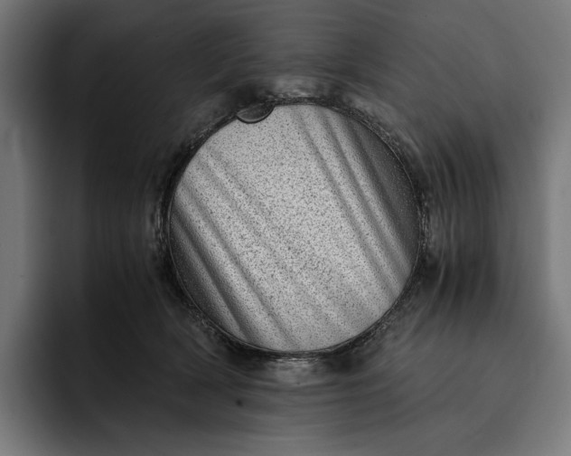 X0000093120418200710101044