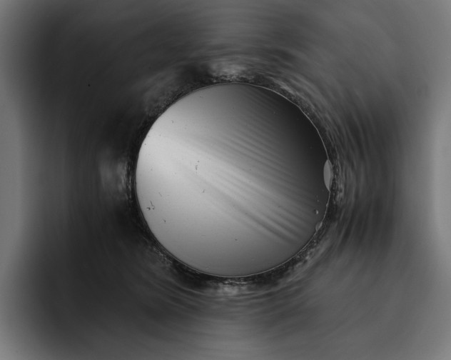 X0000093120420200710101044