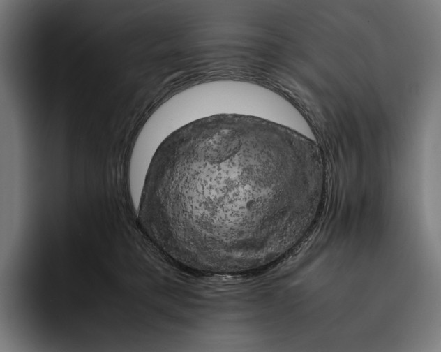 X0000093120421200710101044