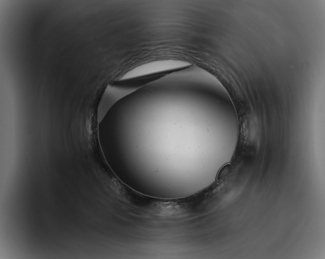 X0000093120424200710101044