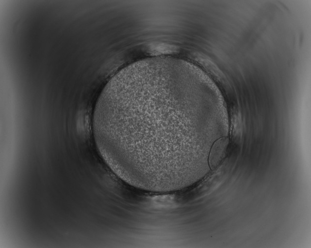 X0000093120426200710101044