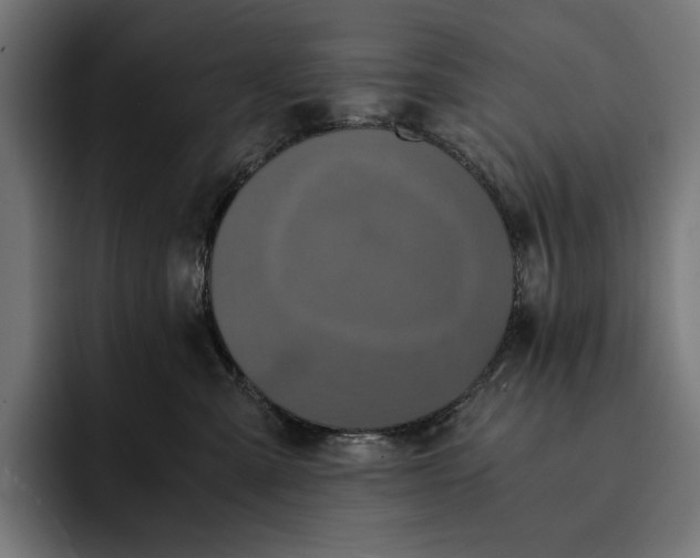 X0000093120427200710101044