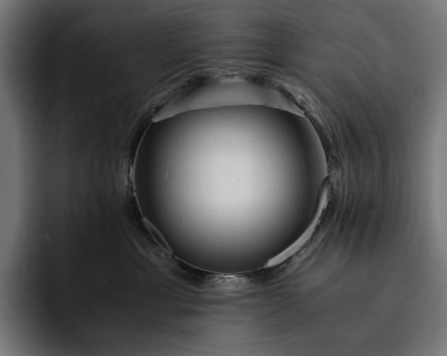 X0000093120429200710101044