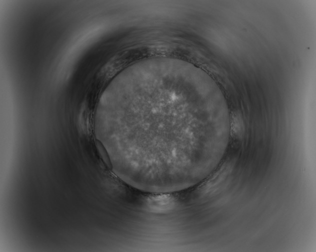 X0000093120431200710101044