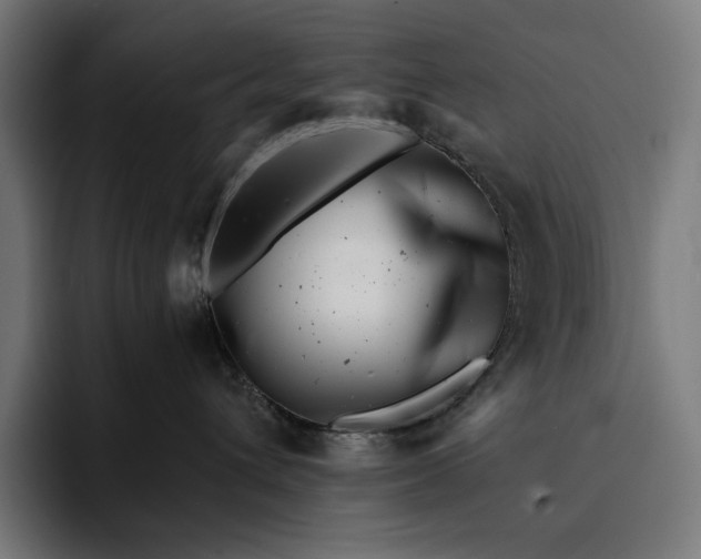 X0000093120432200710101044