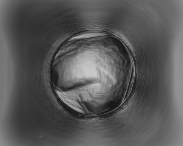 X0000093120433200710101043