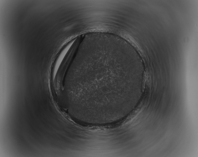 X0000093120434200710101043