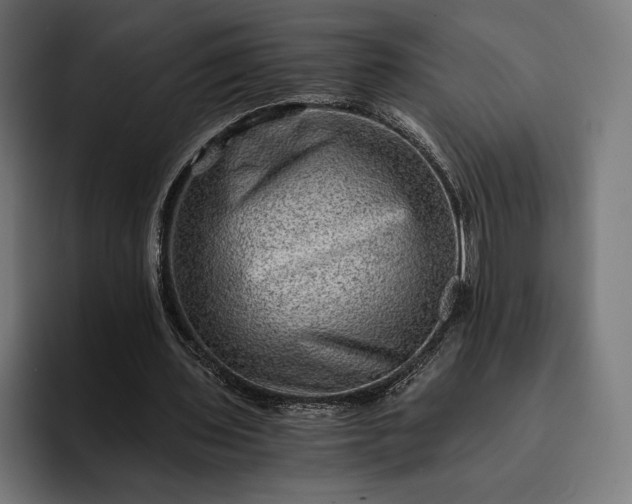 X0000093120435200710101043