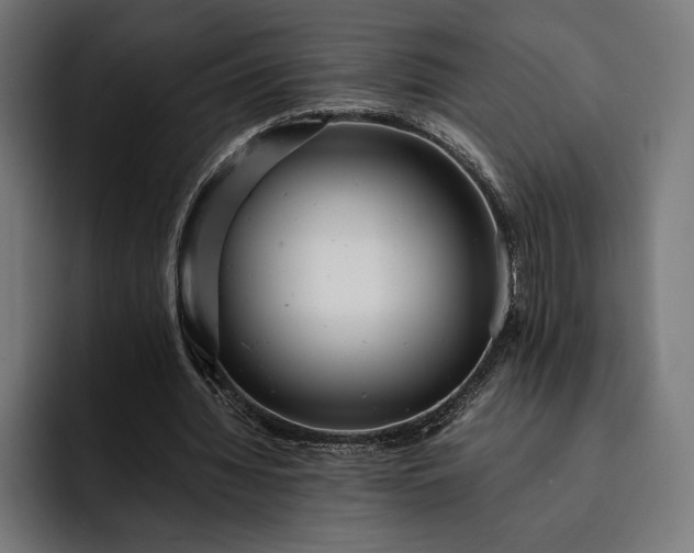 X0000093120436200710101043