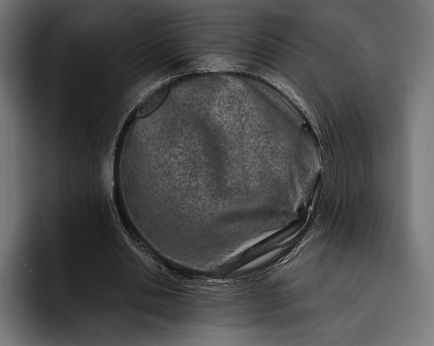 X0000093120438200710101043