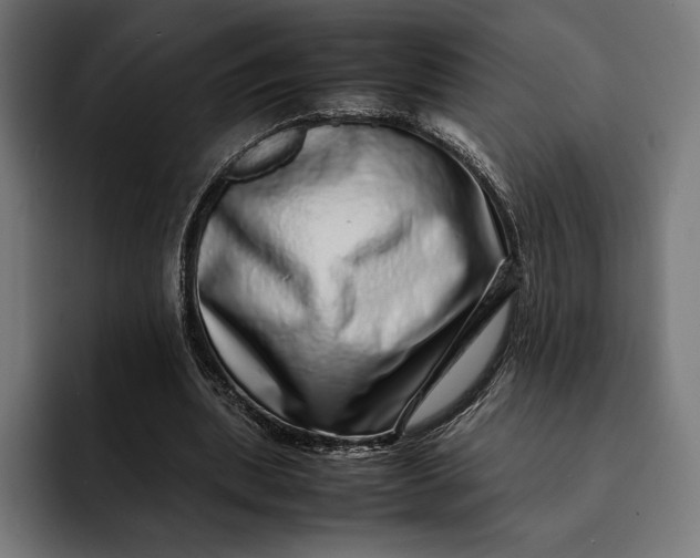 X0000093120439200710101043