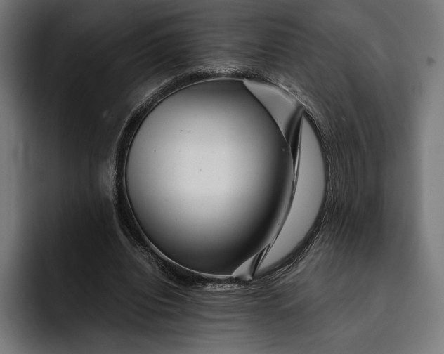 X0000093120440200710101043