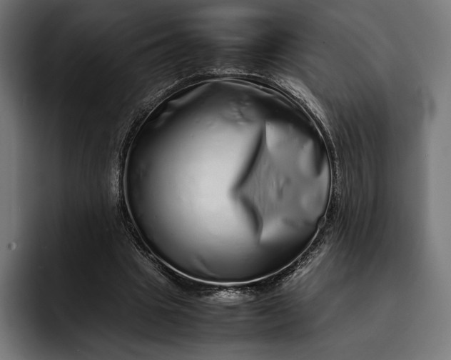 X0000093120441200710101043