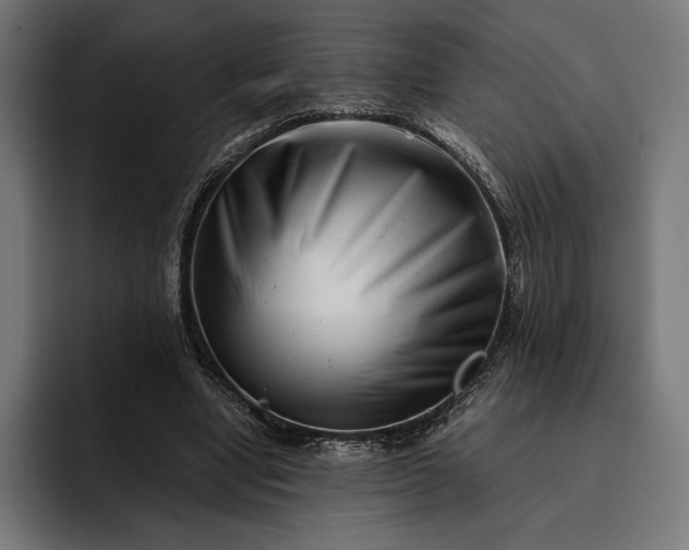 X0000093120442200710101043