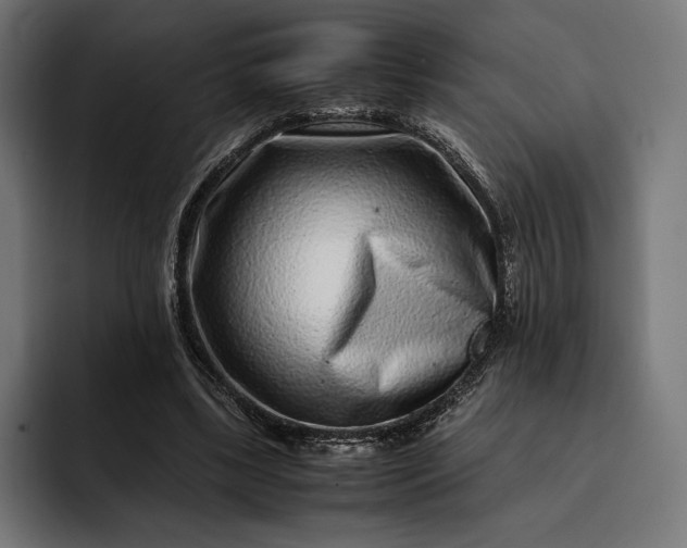 X0000093120443200710101043