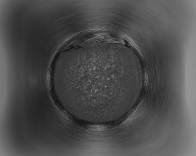 X0000093120444200710101043