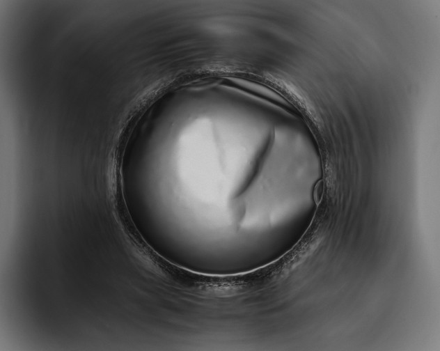 X0000093120445200710101043